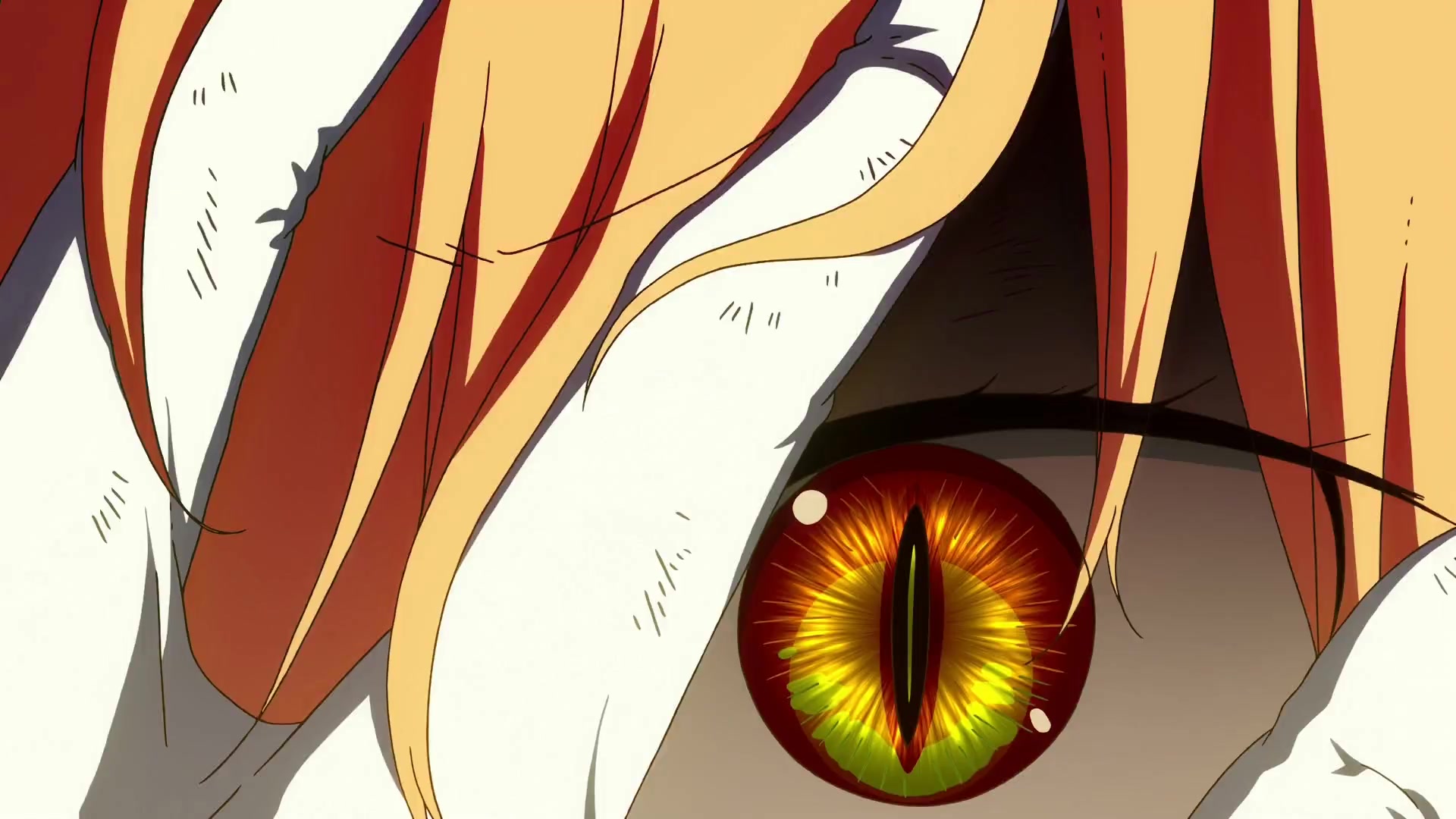 24.mp4